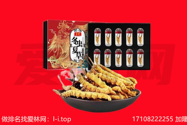 苏州姑苏区回收虫草.jpg